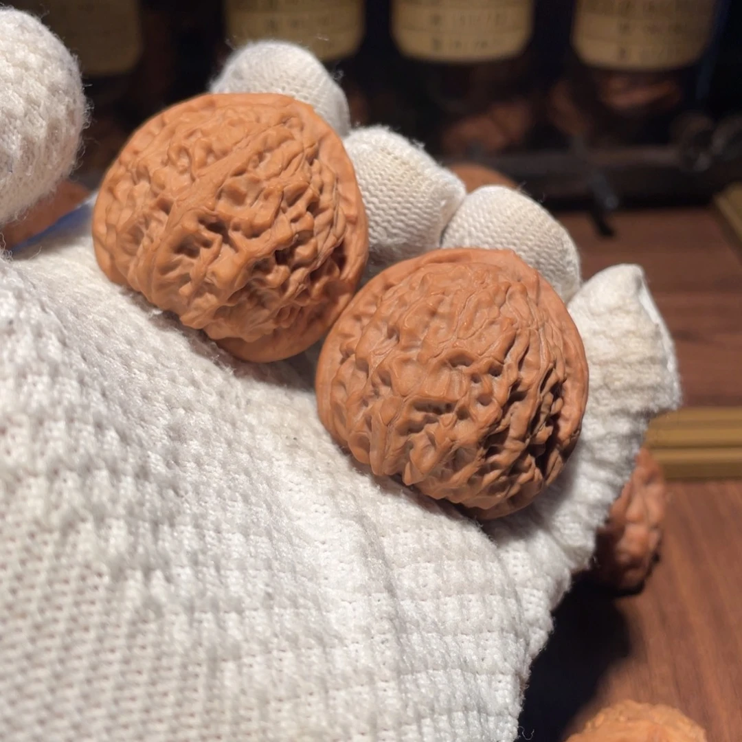 核桃41金牛jjjjjjn