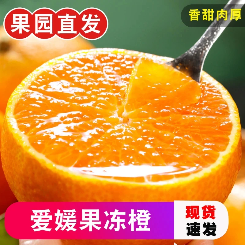 爱媛38号 带箱五斤 80-100mm坏果包赔