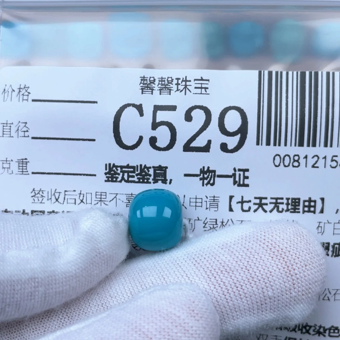 W***W绿松石未镶嵌颈饰