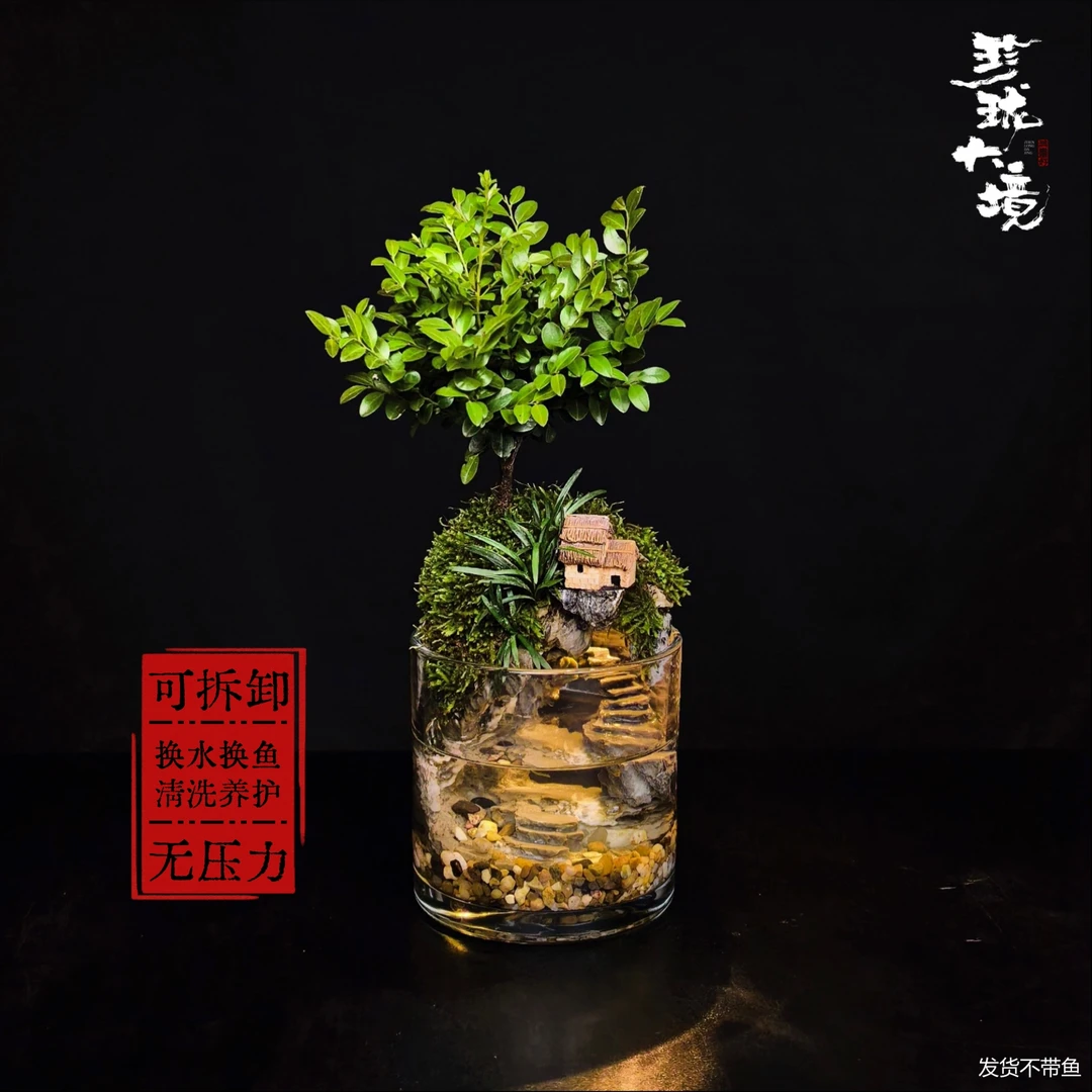 [步步高升a]小叶紫檀创意真绿植室内禅意国风摆件带灯鱼缸12*12cm