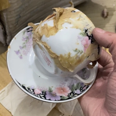 碟景德镇红叶陶瓷咖啡杯一套