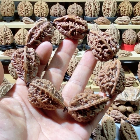 文玩核桃把件秦*、串