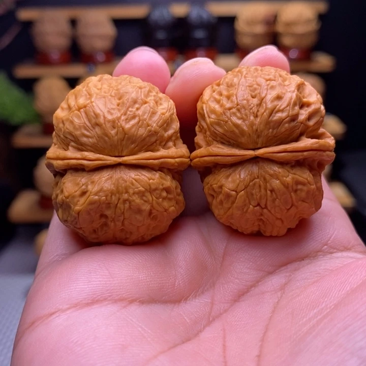 木质类云铁仙人翁元宝58号