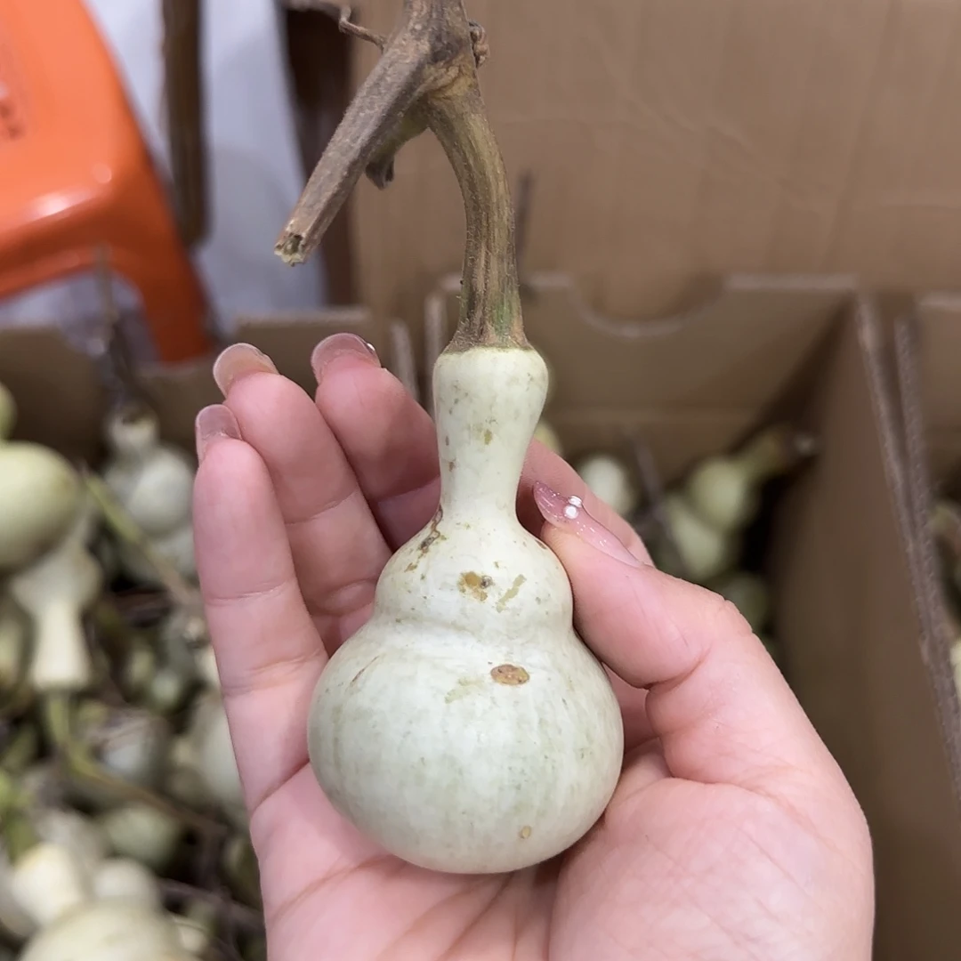 然***仔葫芦刚刚好尴尬JHV好