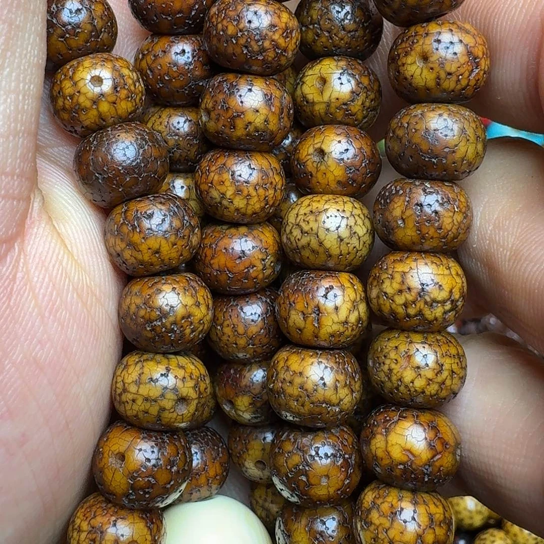 肖***.菩提籽类星月菩提