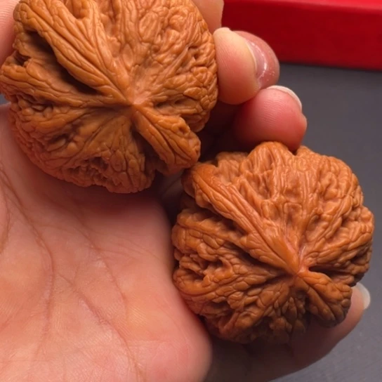 文玩核桃把件秦岭山脉核桃