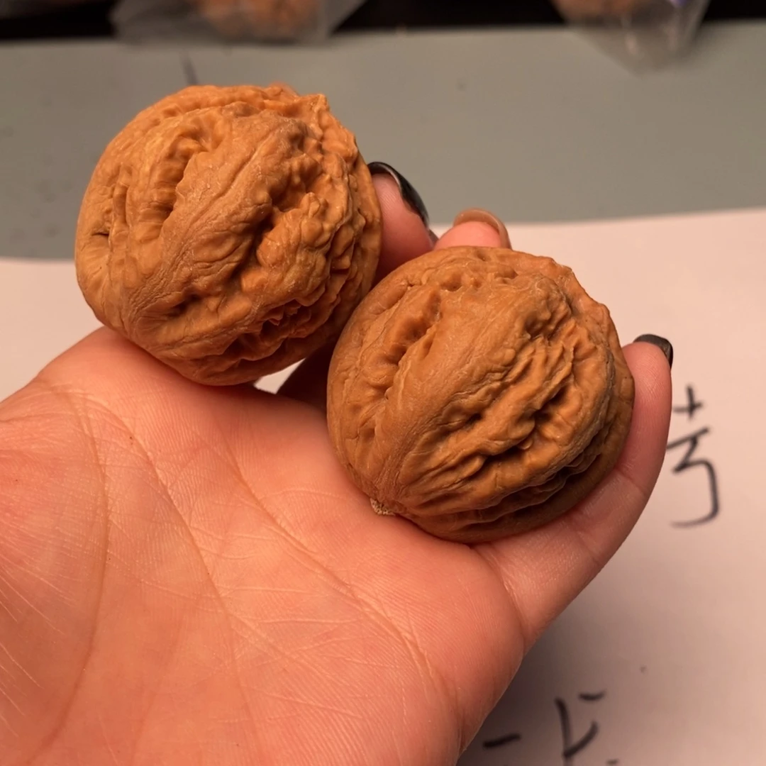 文玩核桃吊坠霸王龙