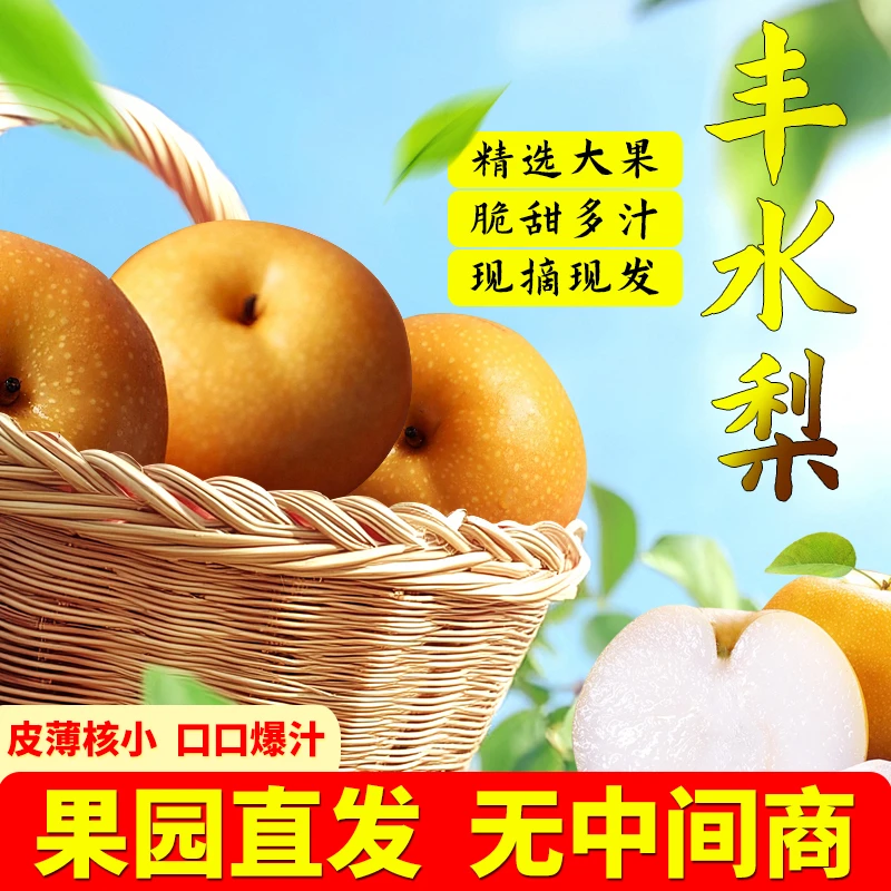 正宗丰水梨新鲜水果4斤8斤当季现摘梨子大果冰糖梨整箱包邮