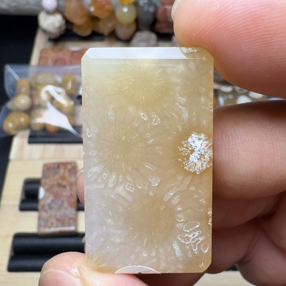硅化珊瑚（珊瑚玉）未镶嵌纯天然色有机玉石保真色