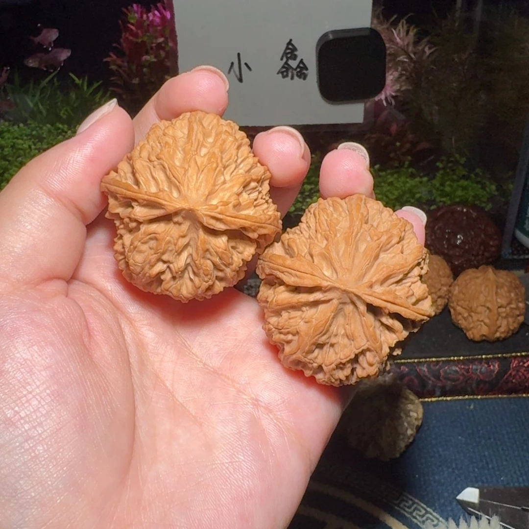 核桃把件1286号44苹果园苹果园苹果园苹果园