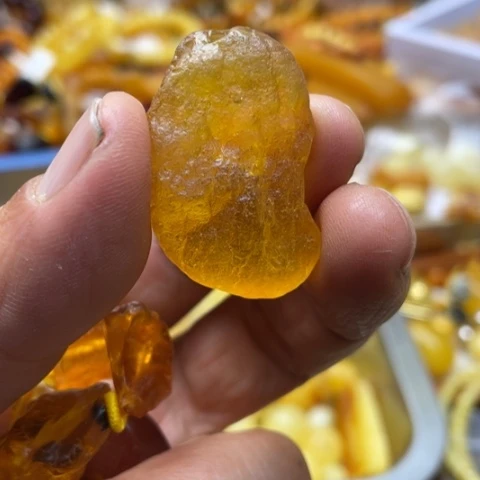 手串植物珀未镶嵌吊坠
