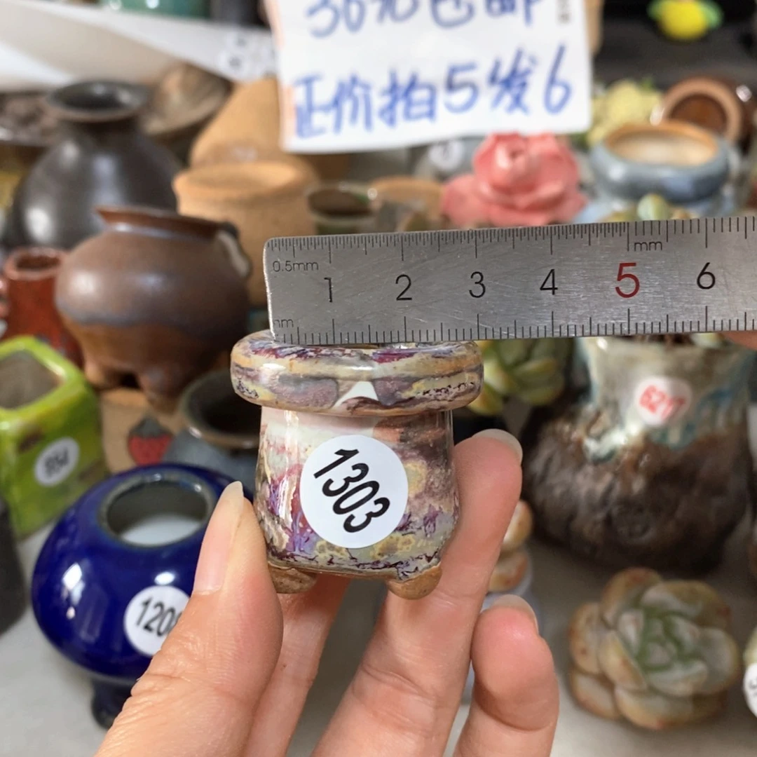 拍5送一个小礼物