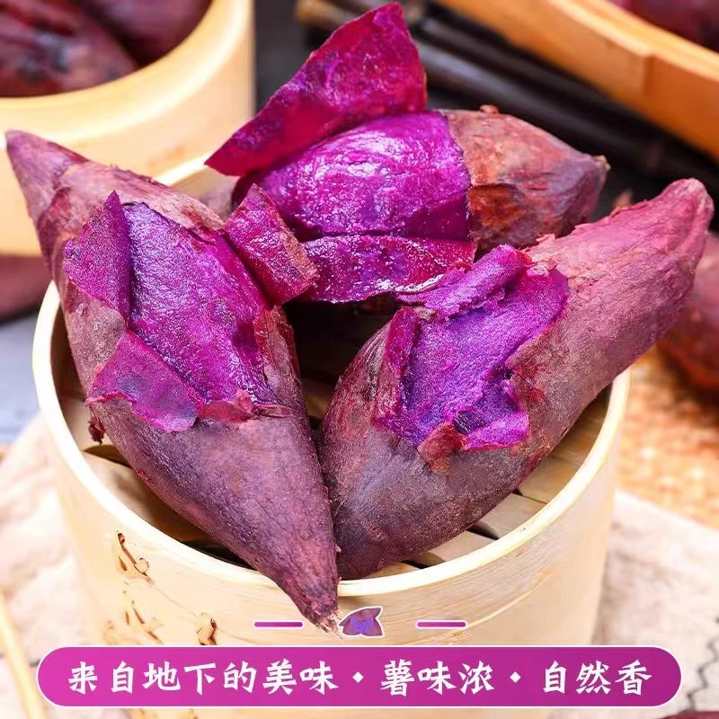 现挖现发新疆本地青格达新疆泰紫薯一号当季软糯香甜紫薯新疆维吾尔自治区