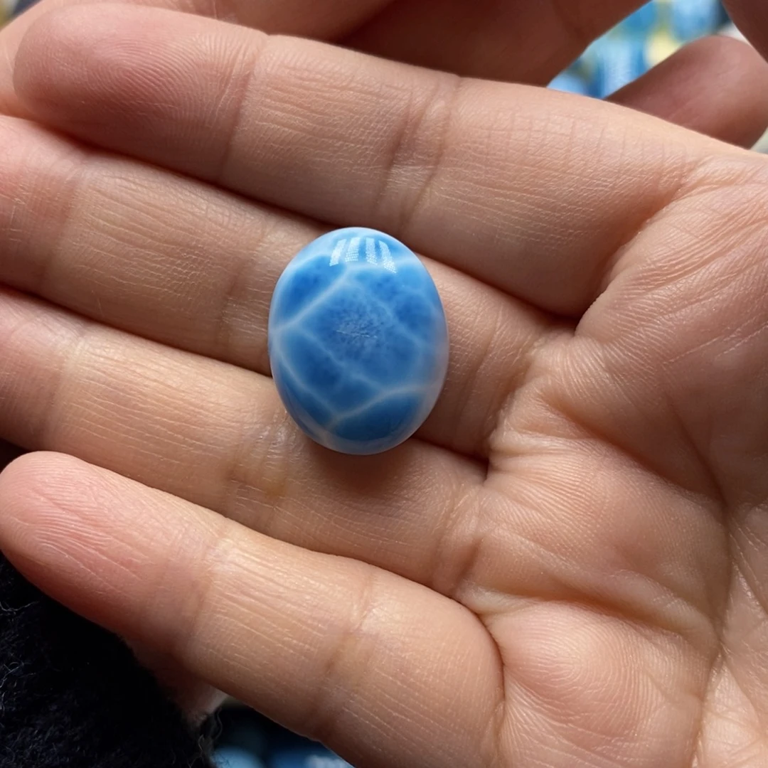 针钠钙石（海纹石）颈饰未镶嵌小*鱼