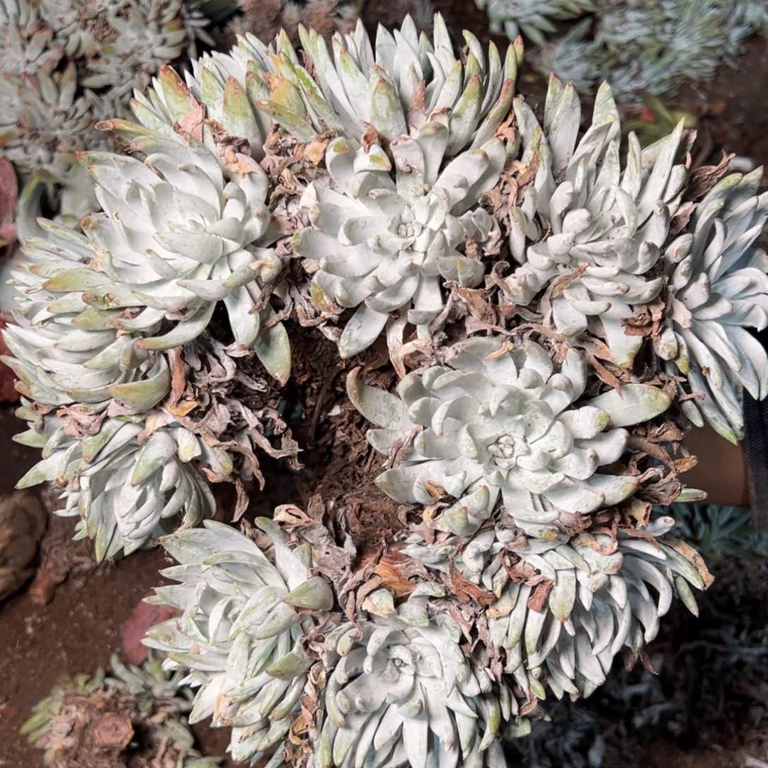 3435哈哈哈哈哈哈哈