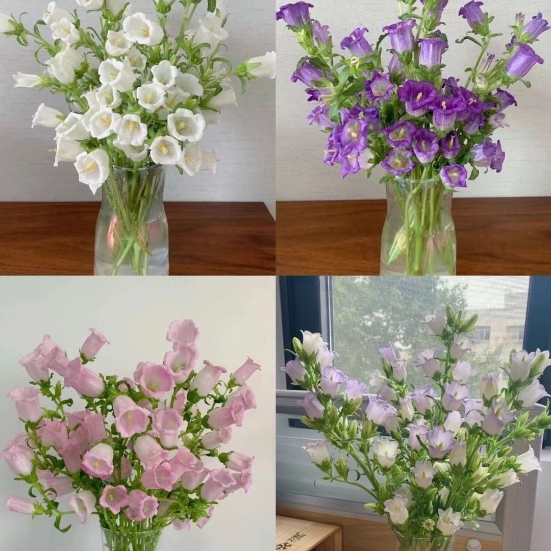 【之桃花卉】风铃小清新鲜花花束 一单包邮 云南昆明发货 随机一扎