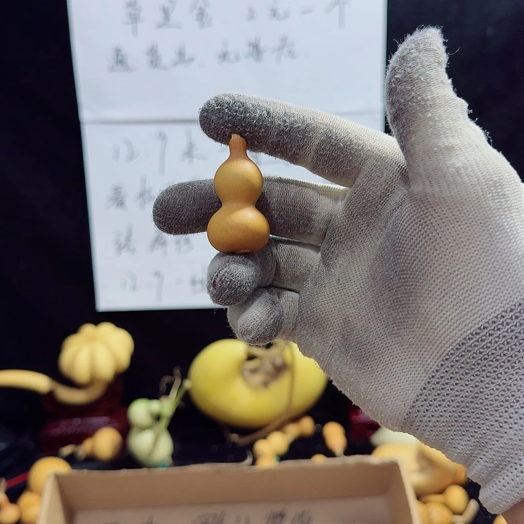 O****F啊啊啊啊啊定制