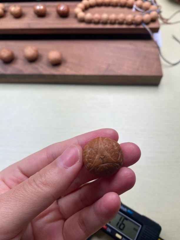 尼泊尔龙眼单颗福利