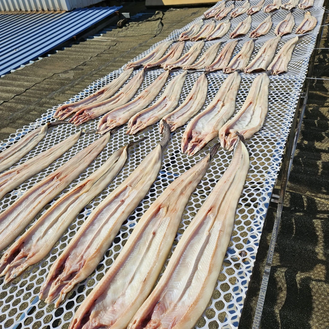 大连一卤鲜鳝鱼 各大餐饮同标产品 顺丰包邮 大号(2-5条)/2斤