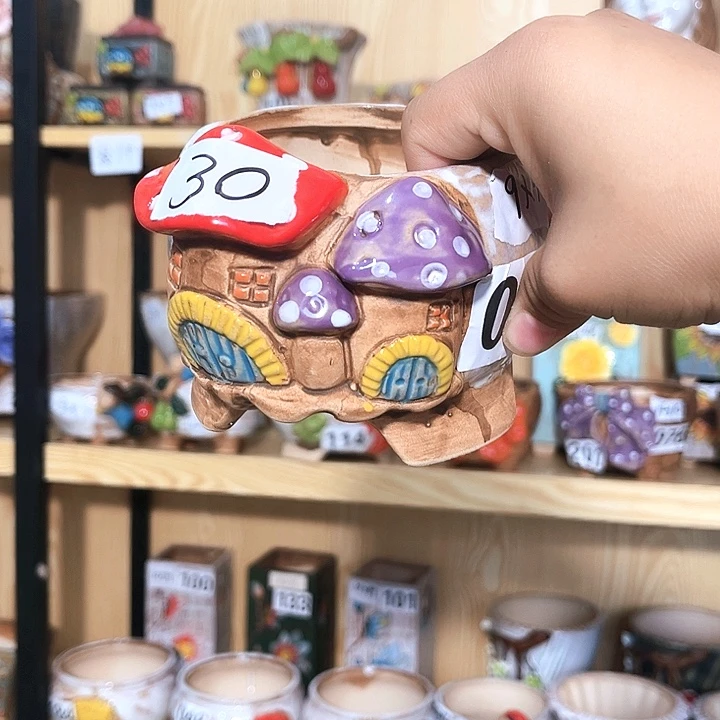 多肉花盆满15包邮