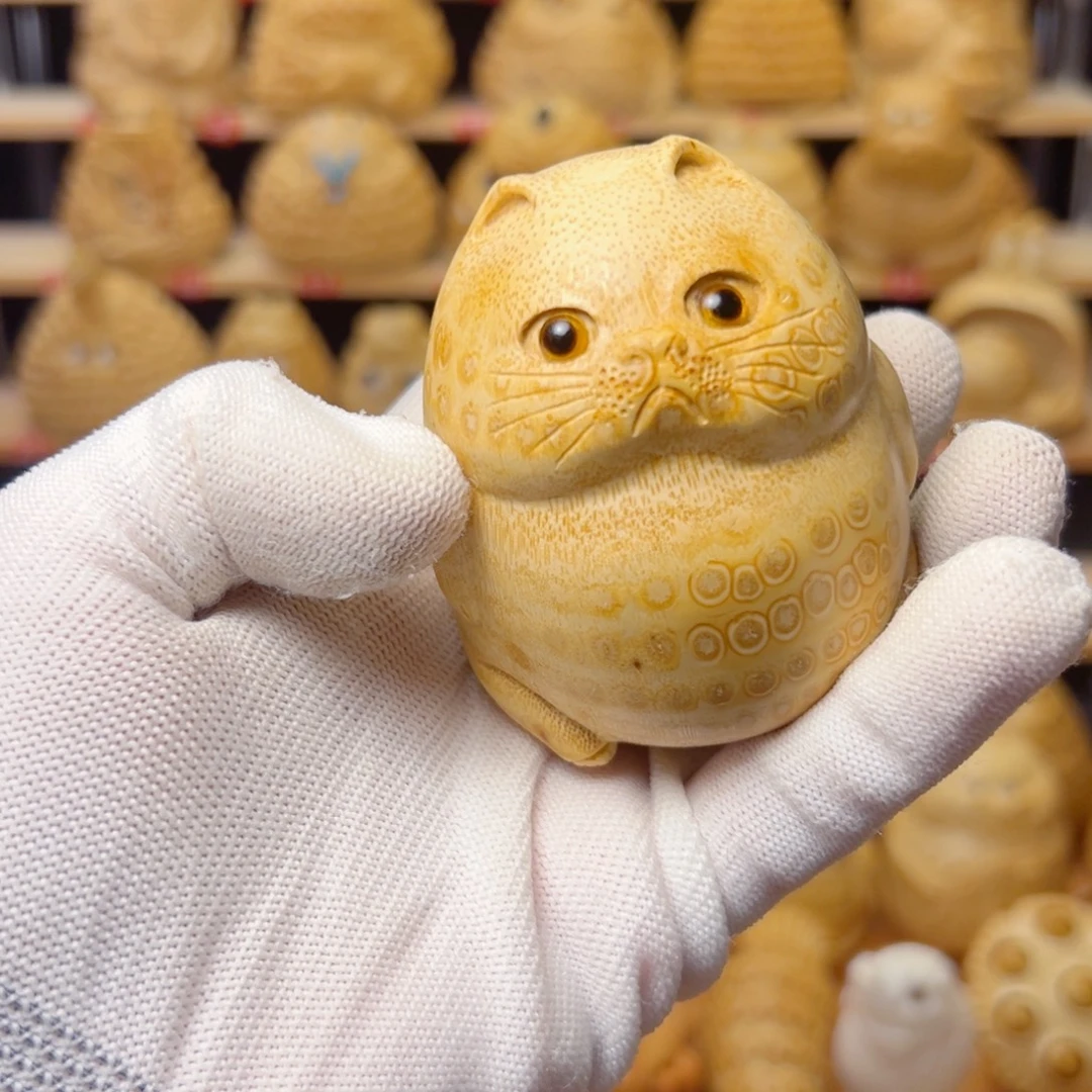 球***长竹类猫咪141411111114411111