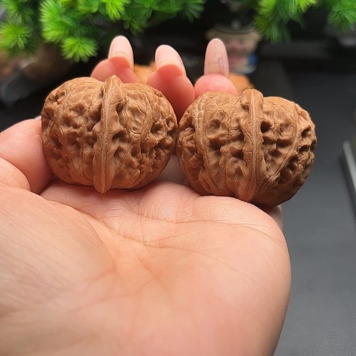 核桃43元宝全品核桃