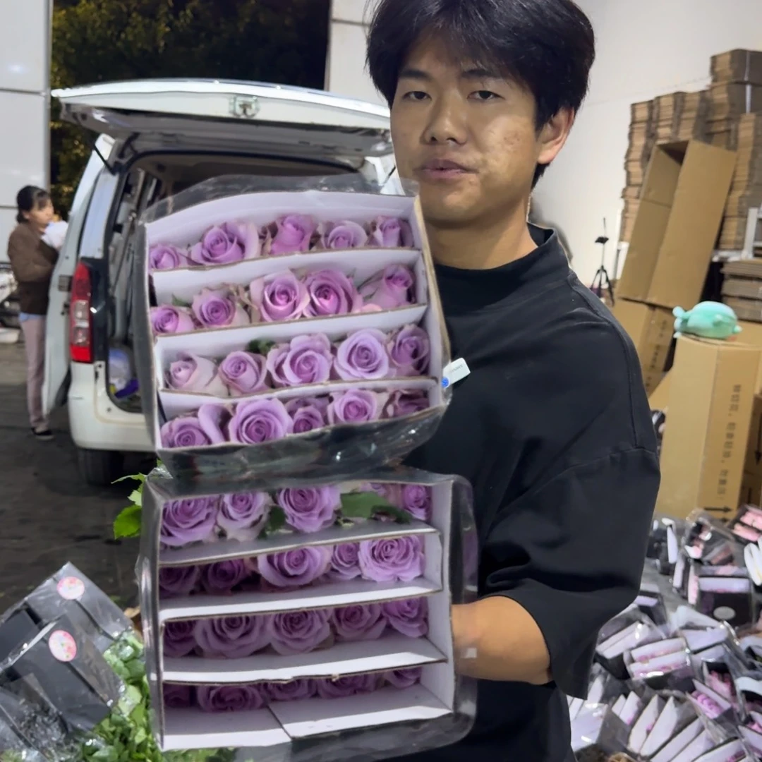 紫霞仙子2扎包邮价秒杀
