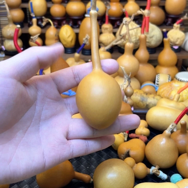 厚皮响响蚂蚁肚杆子单肚19