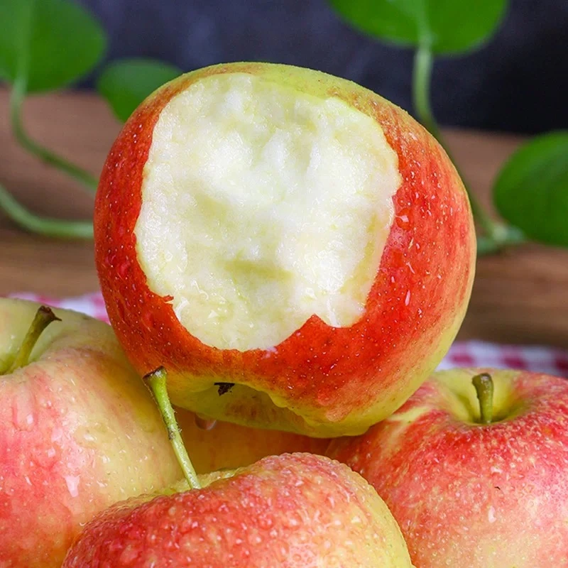 陕西嘎啦苹果5-8斤新鲜苹果粉面沙甜脆粉两吃产地直发