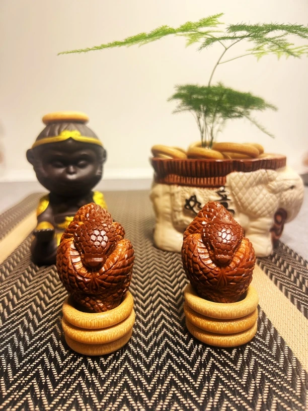 巴西大橄榄-腰缠万贯 单颗