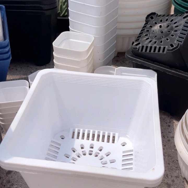 白方口17高12一组20
