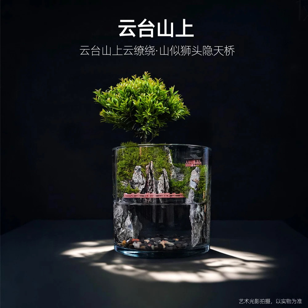 【仙居】云台山上mini—带摆件小叶赤楠绿植造景【尺寸：15*15】