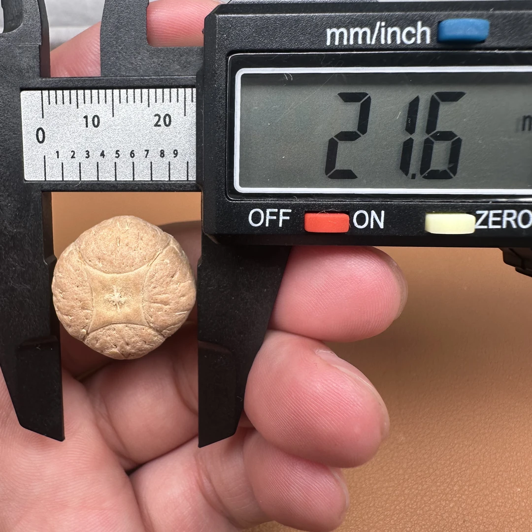 21.6 mm尼泊尔凤眼菩提（新籽）麒麟、一物一图