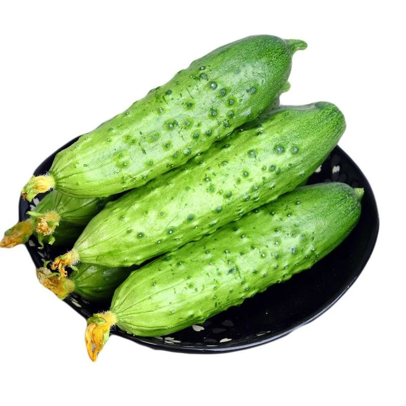 旱黄瓜 500g±20g/份黄瓜同城送黄瓜同城配