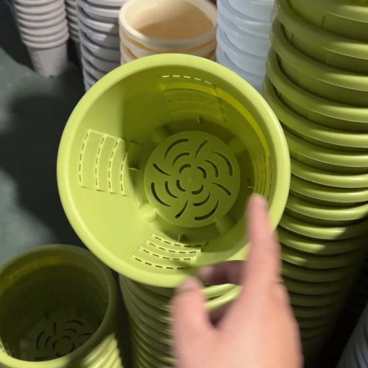 测19口径6个无托果绿