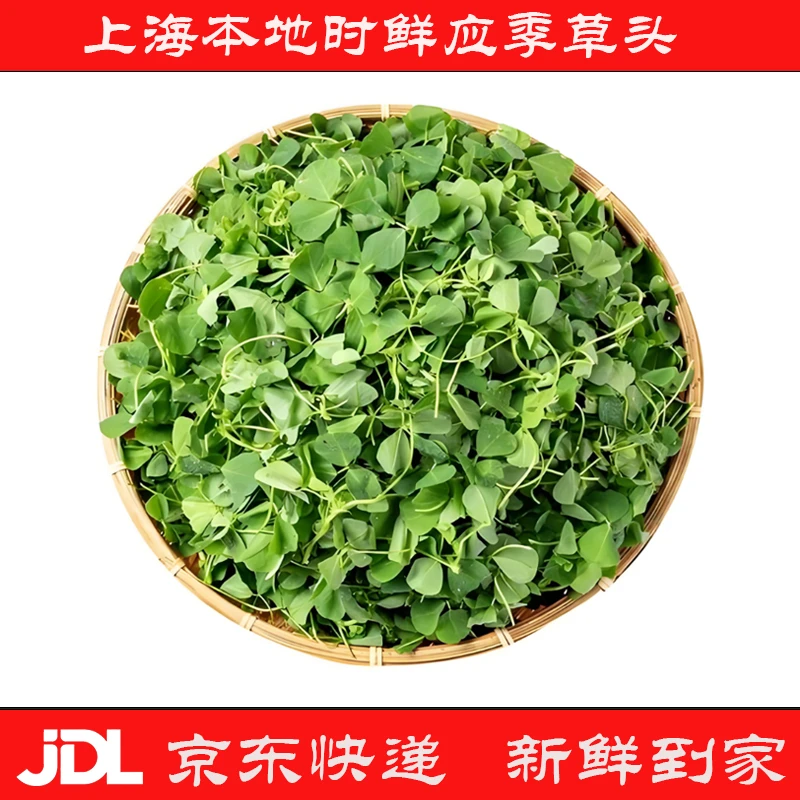 上海当地新鲜时令蔬菜草头2斤装京东快递