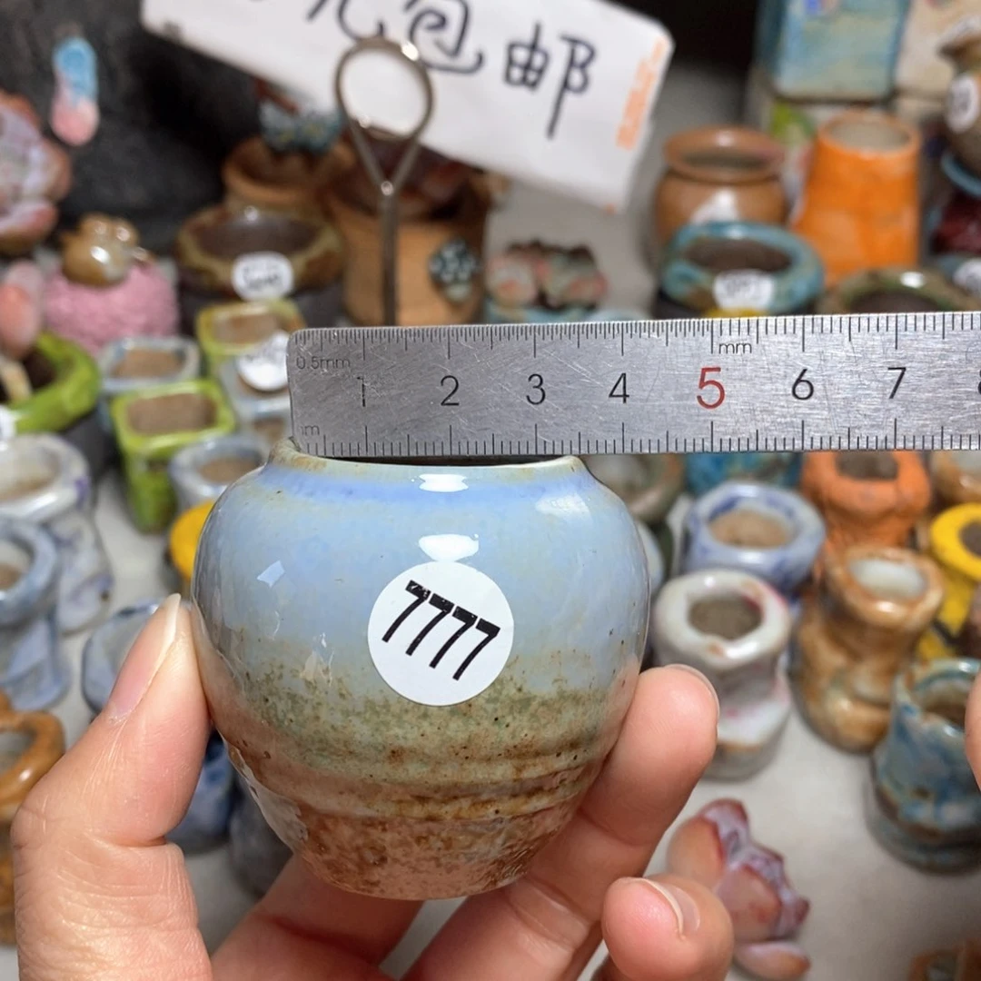 拍5送一个小礼物