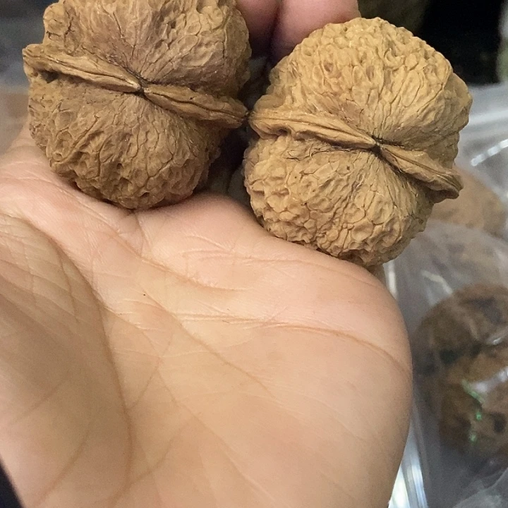 把件文玩核桃云南铁核桃基地98