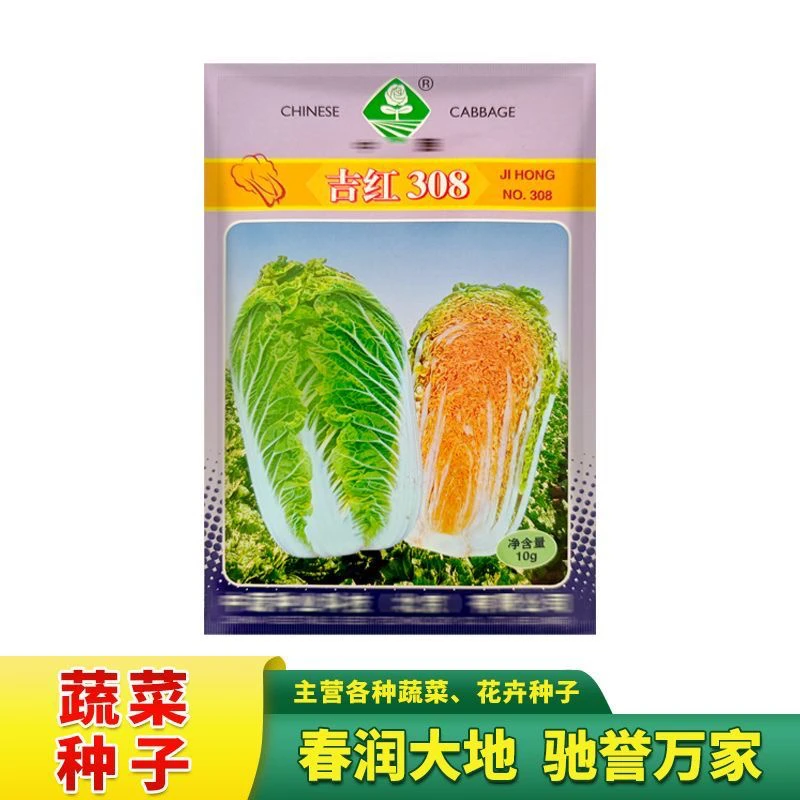吉红308橘红心娃娃菜种子10克春秋播种红心白菜种子