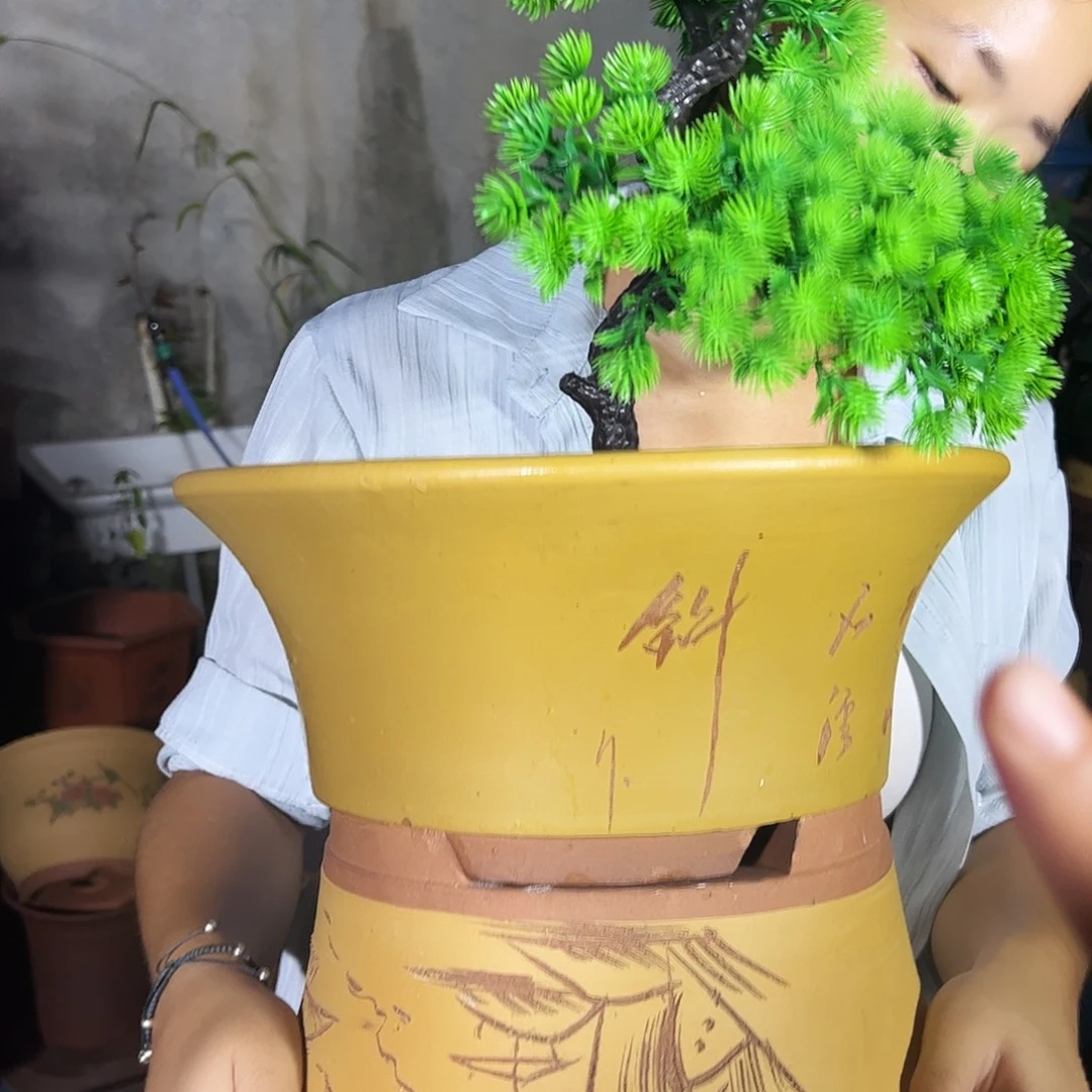 33黄票口花盆花盆花盆×2