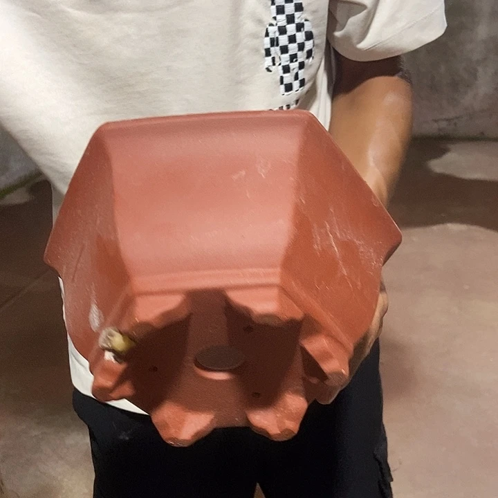 紫砂花盆20大红袍六角
