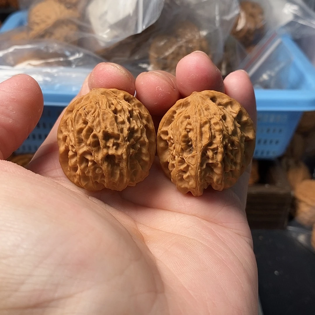 1文玩核桃龙珠33-205