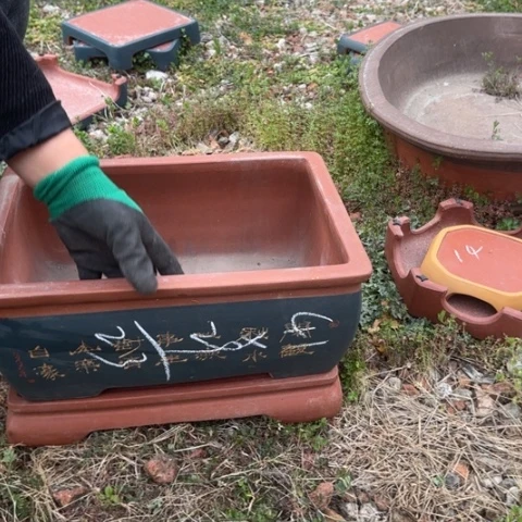 红陶紫砂花盆盆景盆栽