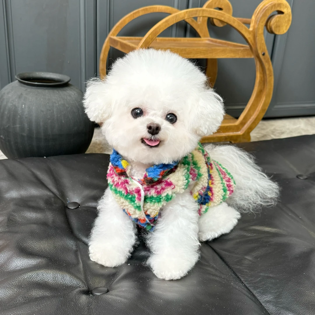 五只小白熊宠物衣服费尔岛民族风加绒加厚开衫狗狗猫咪牵引扣马甲