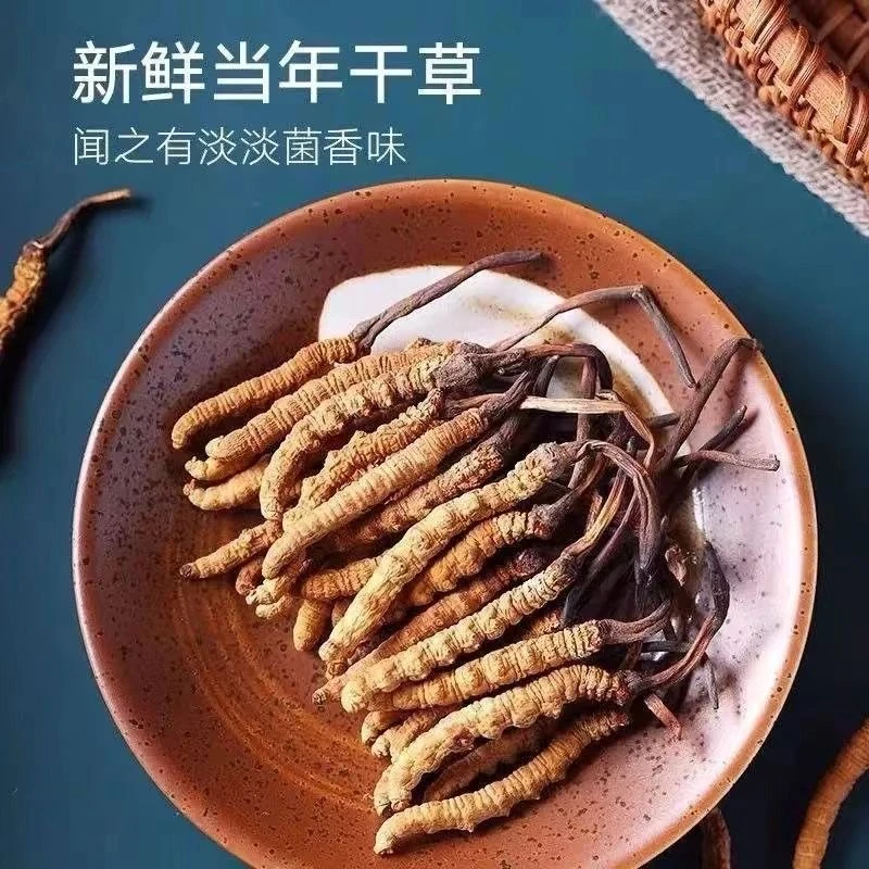 2025头期虫草正品泡酒煲汤滋补正宗佳品4-5根1克10根Z