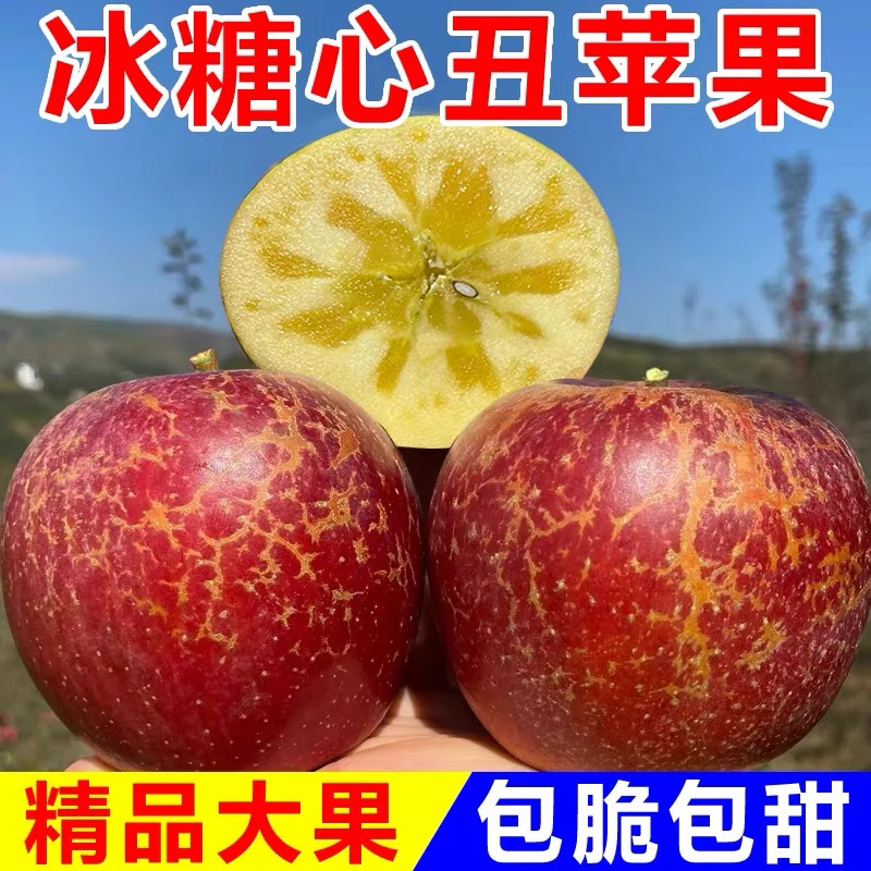云南昭通红富士冰糖心丑苹果现摘现发包邮当季整箱脆甜