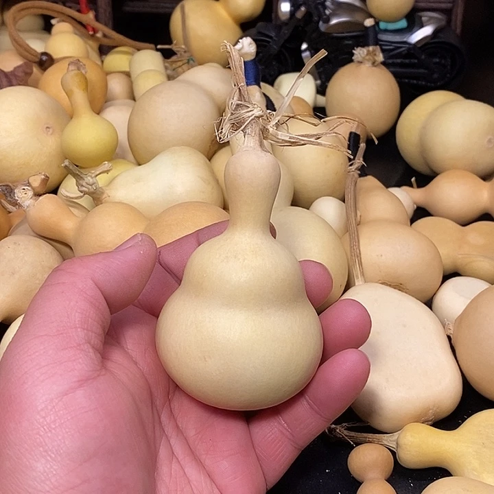 H***o精品葫芦手把葫芦69