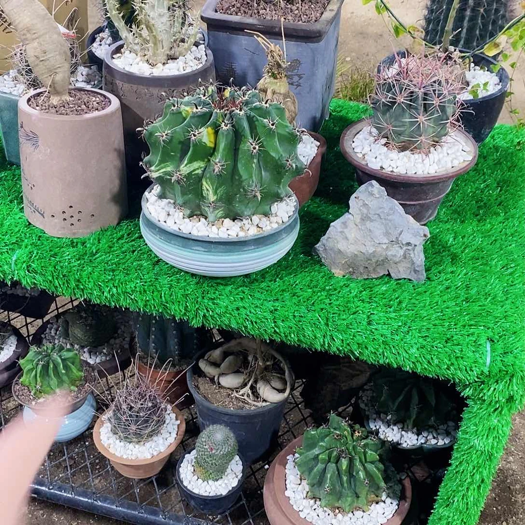 二****℡00000000000000000000