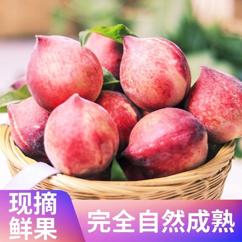 【水蜜桃顺丰包邮】攀枝花黑美人水蜜桃火焰桃新鲜水果鹰嘴桃老品种
