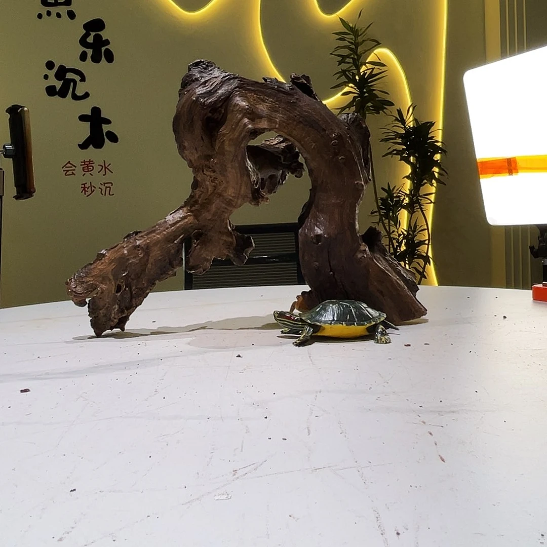 瓦当大****宇会红黄黑水306。